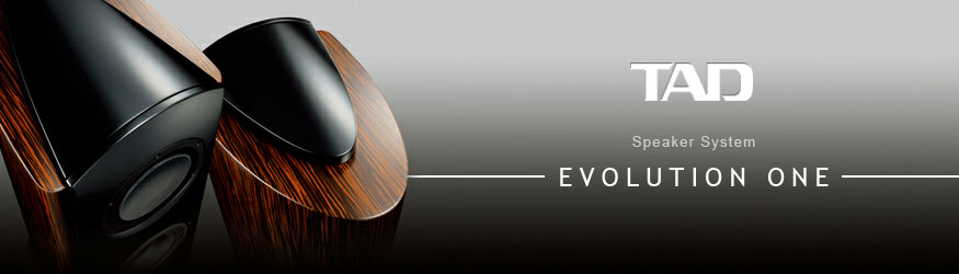 TAD Evolution One Speaker System